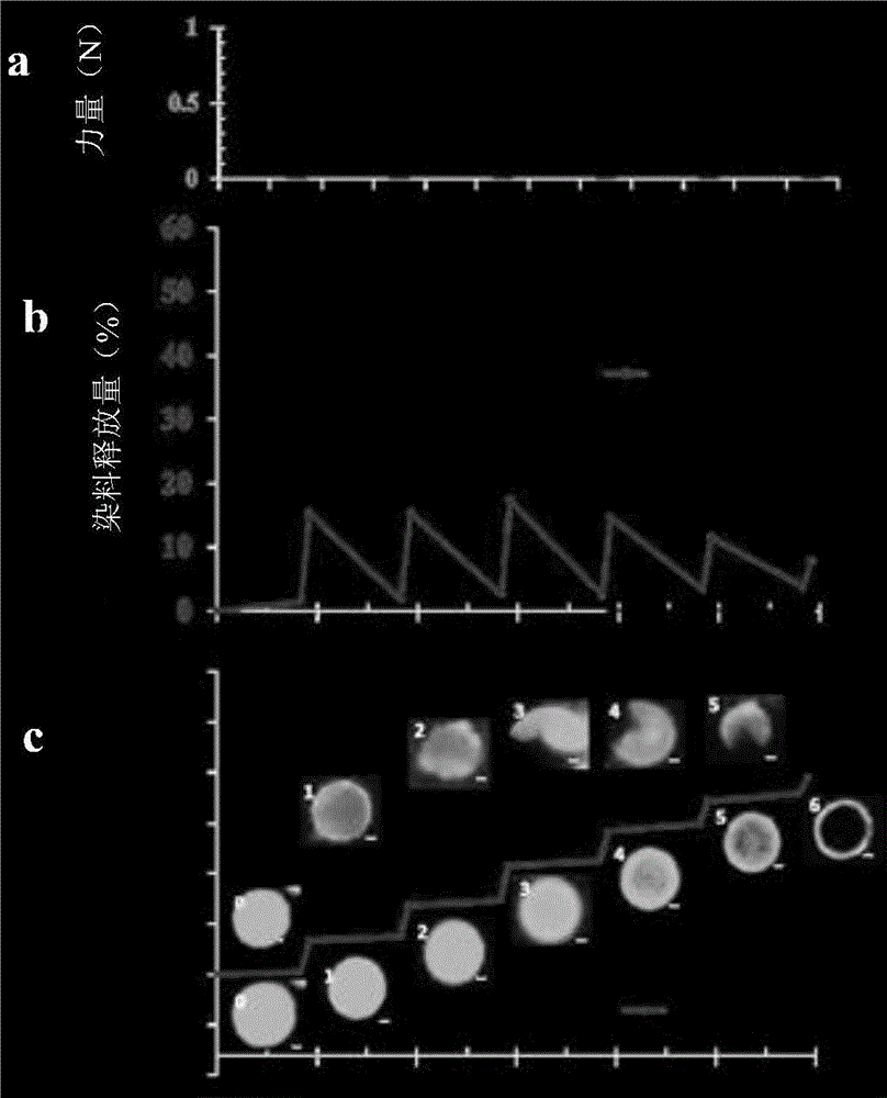 Hybrid hollow microcapsule, scaffold for soft tissue including same, and methods of preparing same