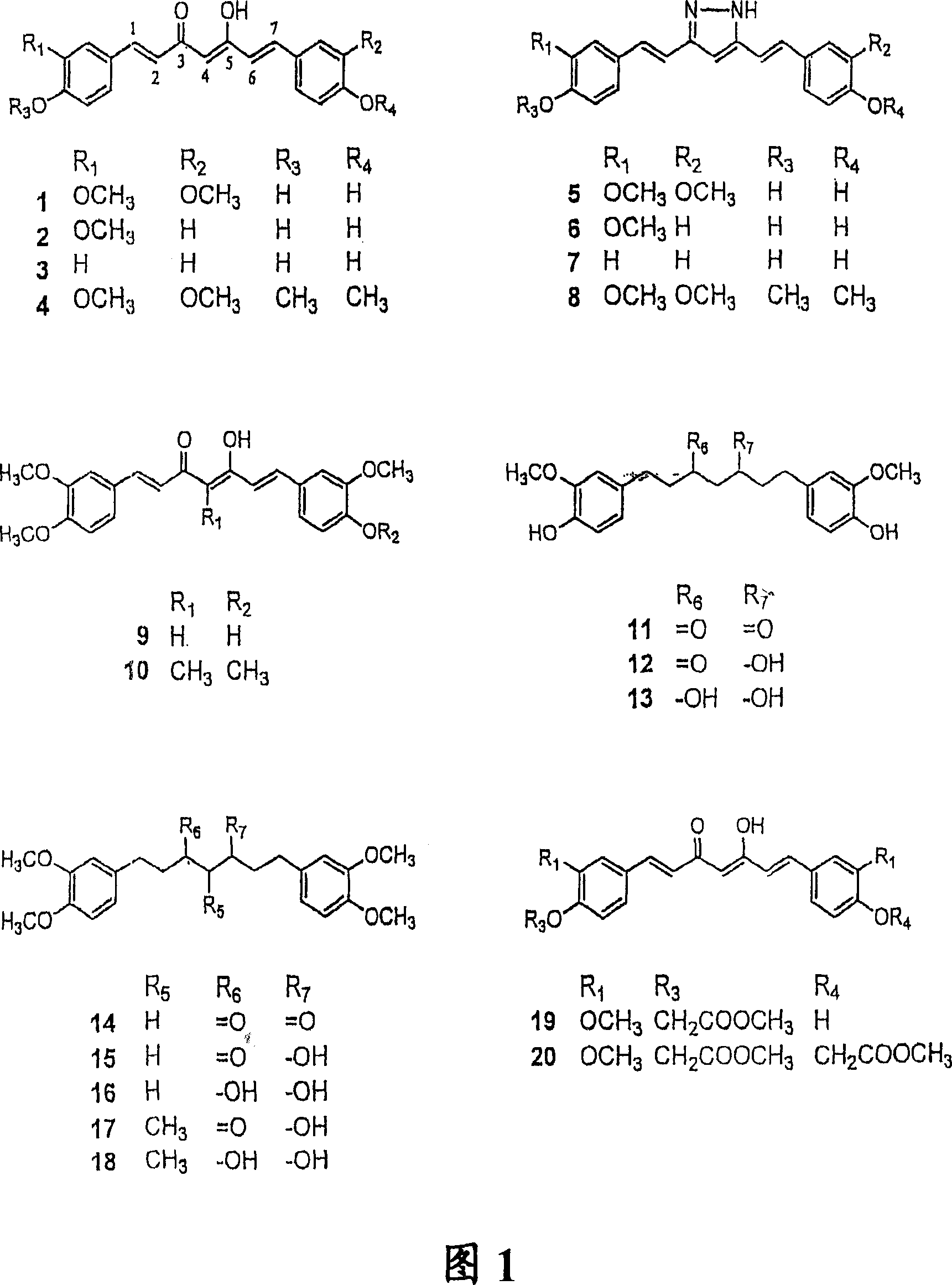 Novel curcumin analogues and uses thereof