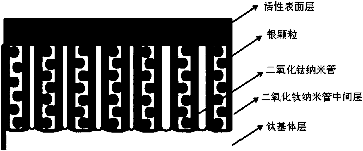 A kind of silver-modified titanium dioxide nanotube composite anode and preparation method thereof