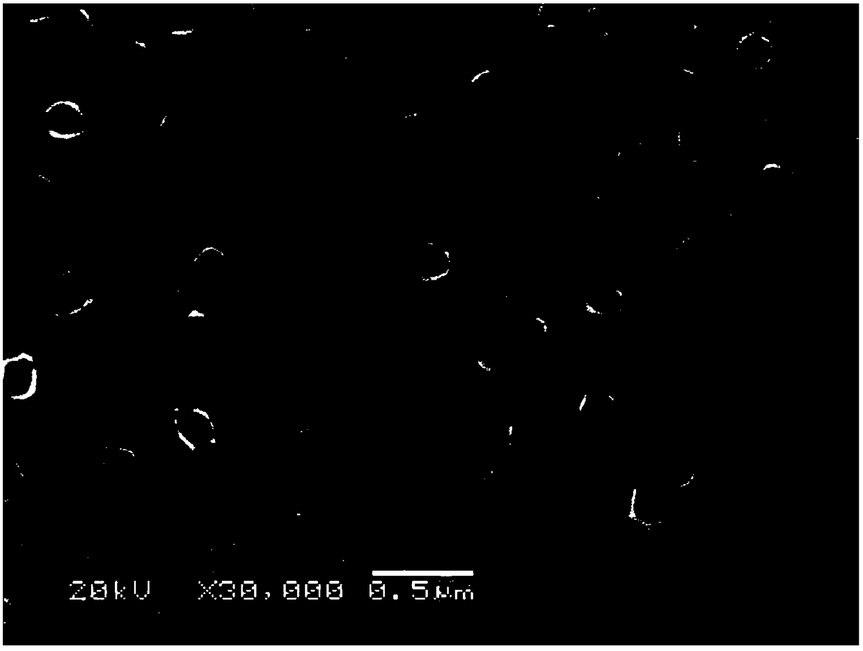 A kind of silver-modified titanium dioxide nanotube composite anode and preparation method thereof