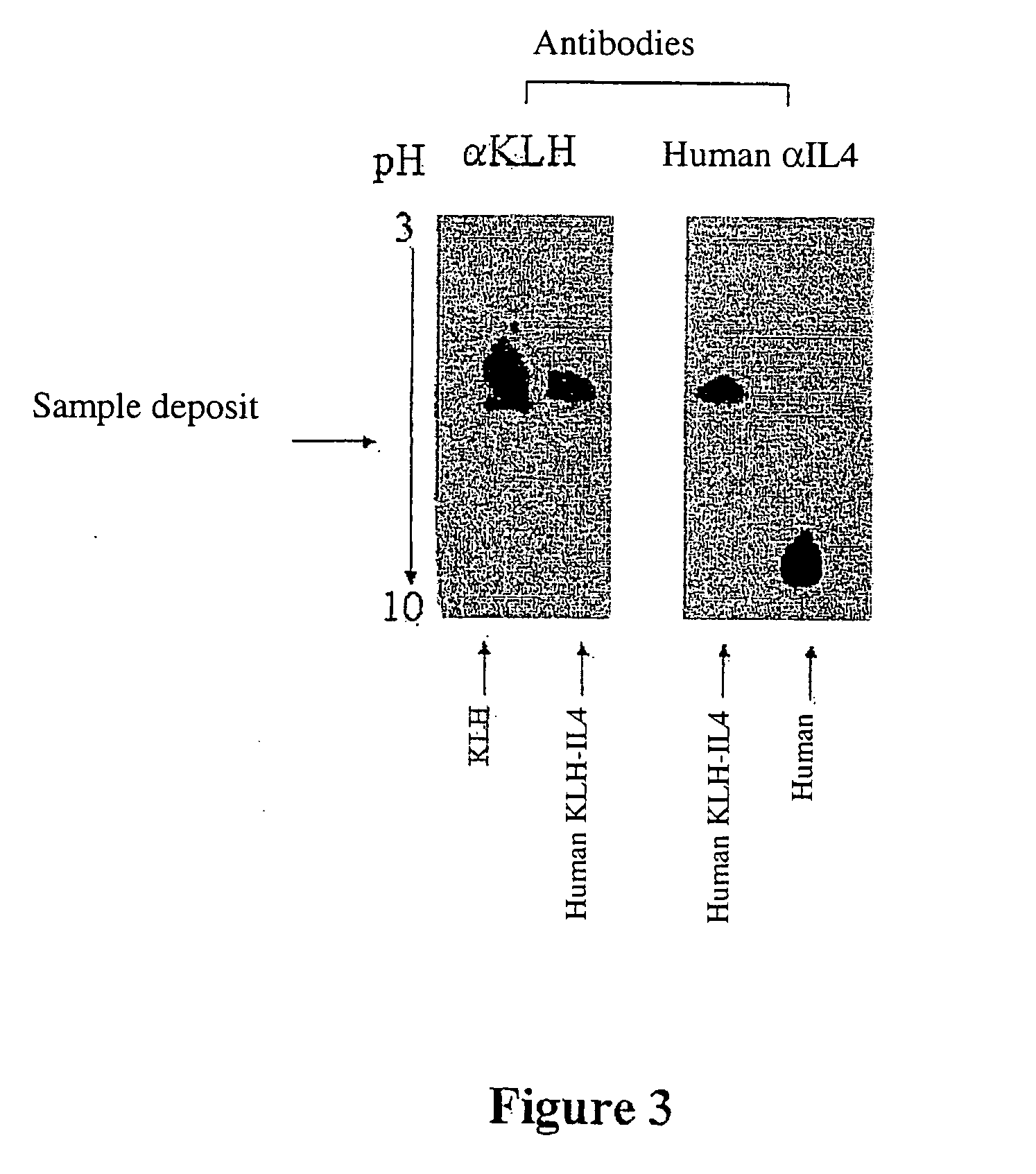 Stable immunogenic product comprising antigenic heterocomplexes