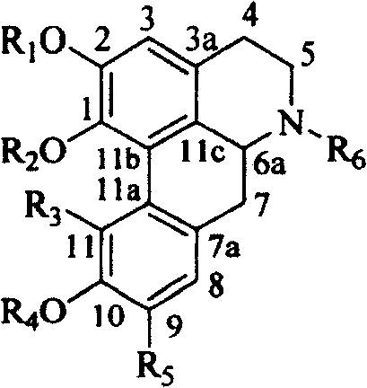 Lindera root alkaloid, its preparation method and application in medicine preparation