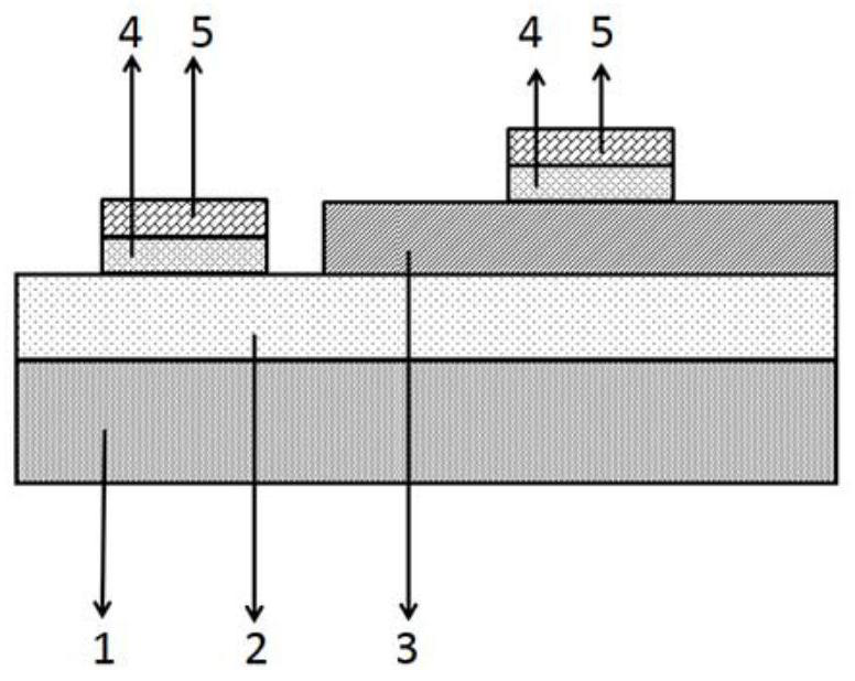 Homojunction photoelectric detector based on gallium oxide energy band regulation and preparation method thereof