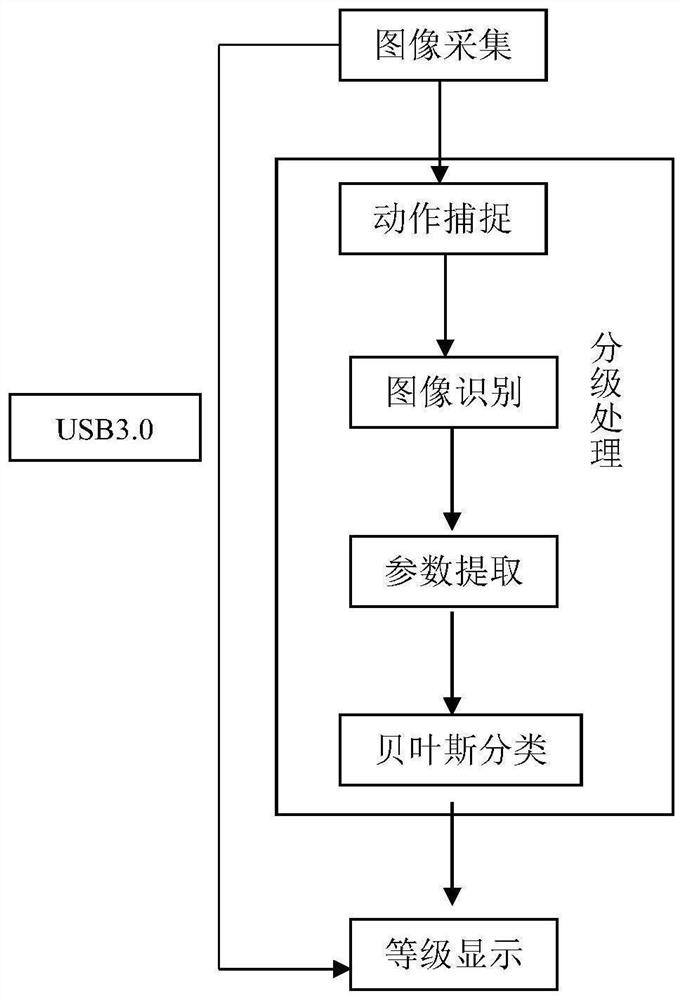 Rapid primary separation system and primary separation method for naturally curled tobacco leaves after baking