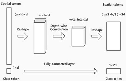 Forestry pest recognition and detection method based on pooling vision Transformer