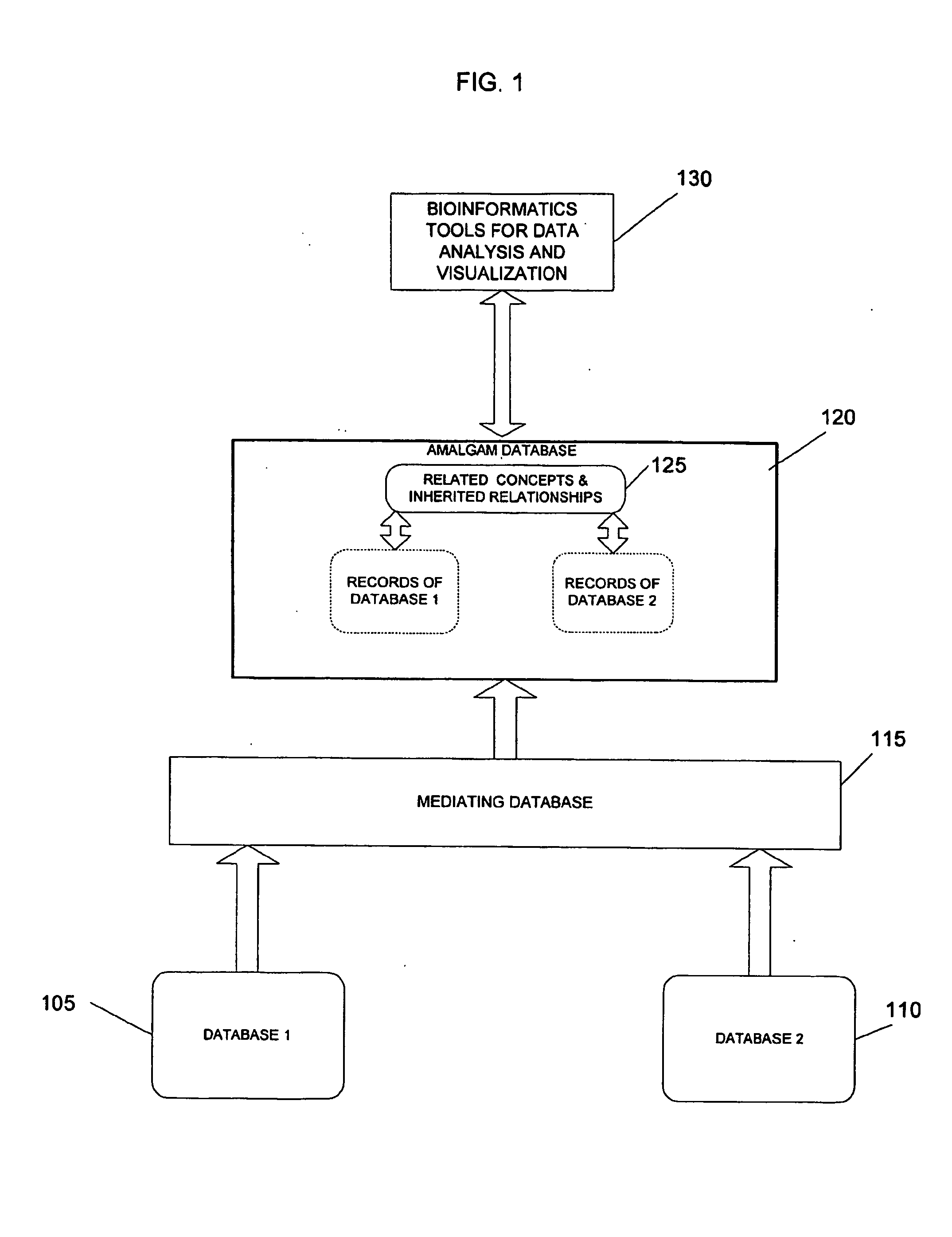 Terminological mapping