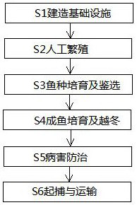 Koi fish artificial breeding method