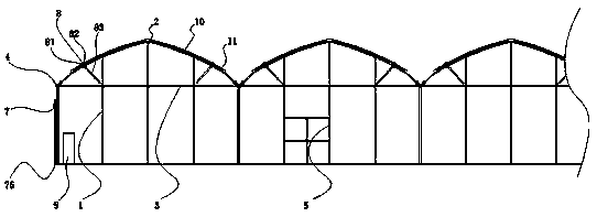 Greenhouses suitable for large-scale agricultural production of planting and planting cycle operations