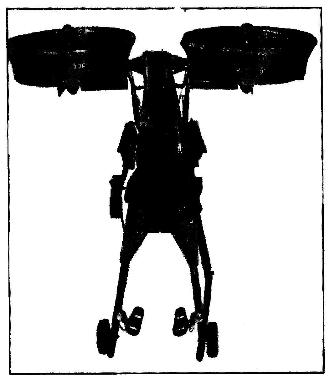 Double-main-duct ultra-light type vertical take-off and landing solo aircraft