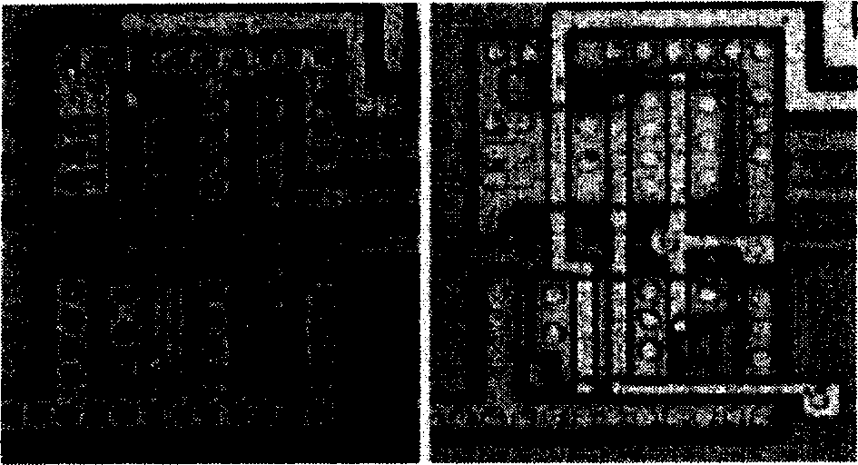 Multi layer gridding detector of chip, and method for anti attack