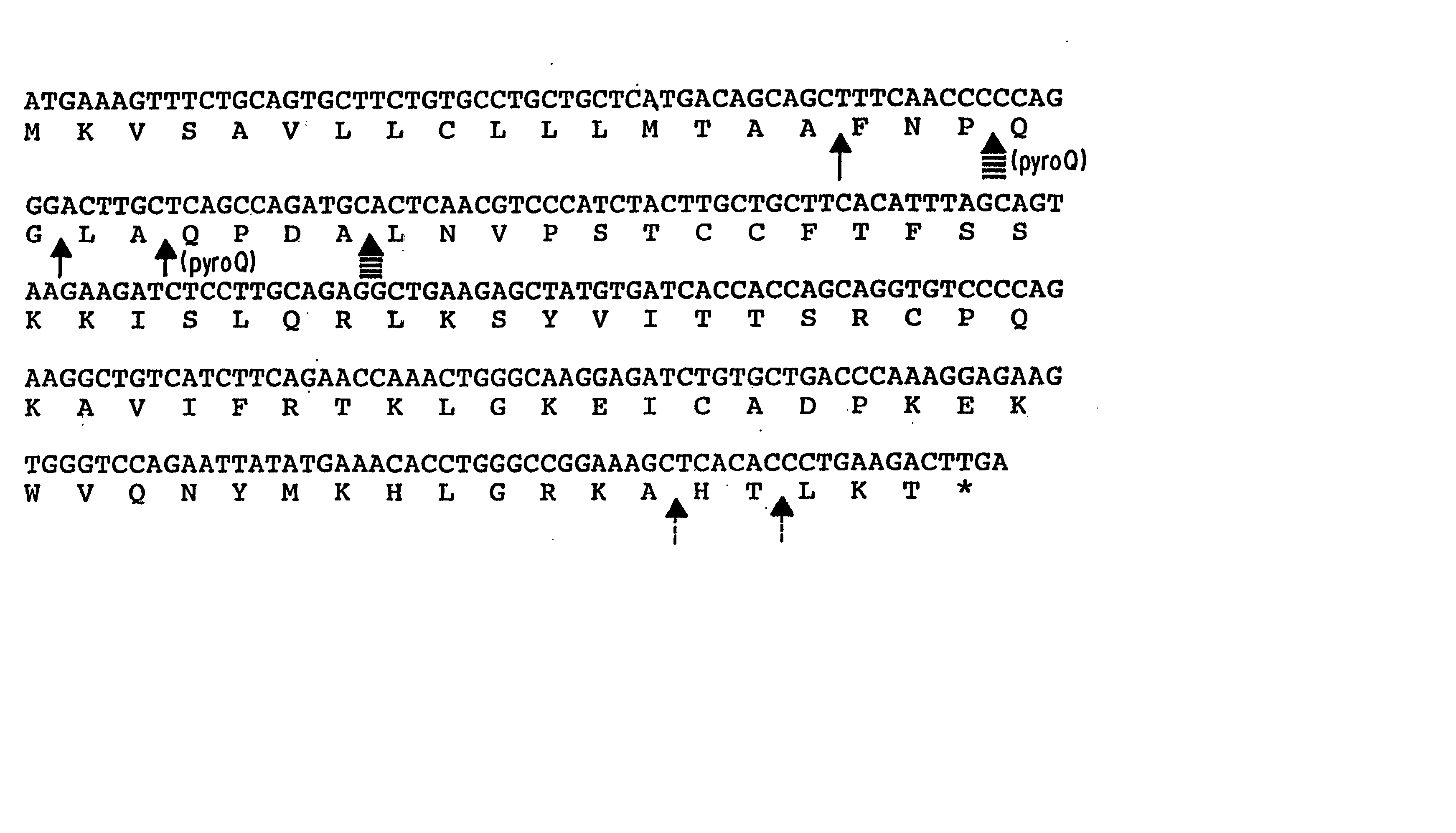 Human chemokine beta-10 mutant polypeptides