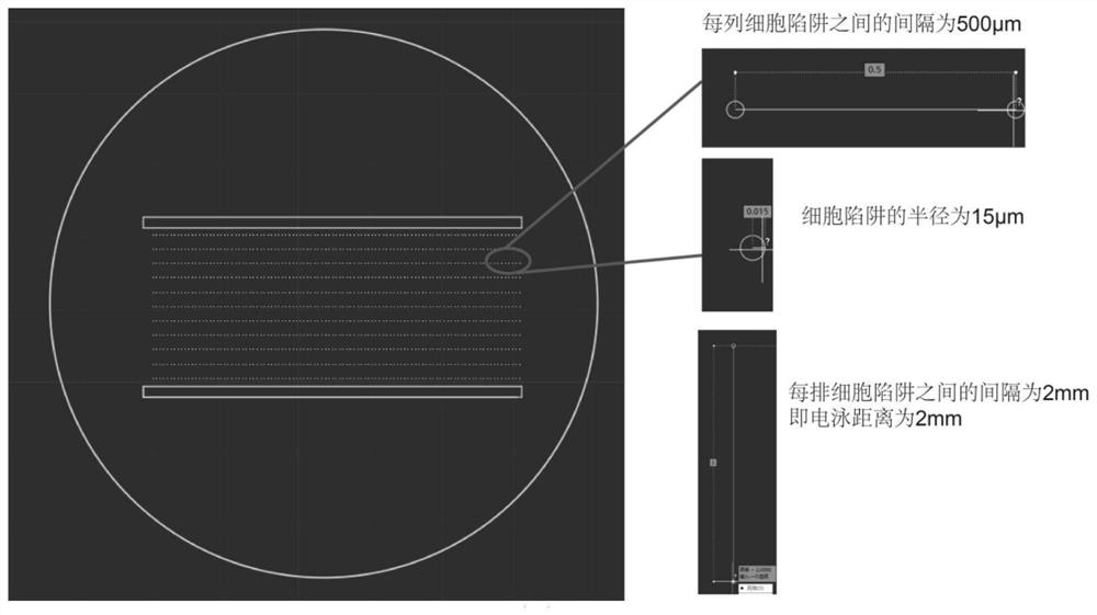 Single-cell protein digital imaging detection method