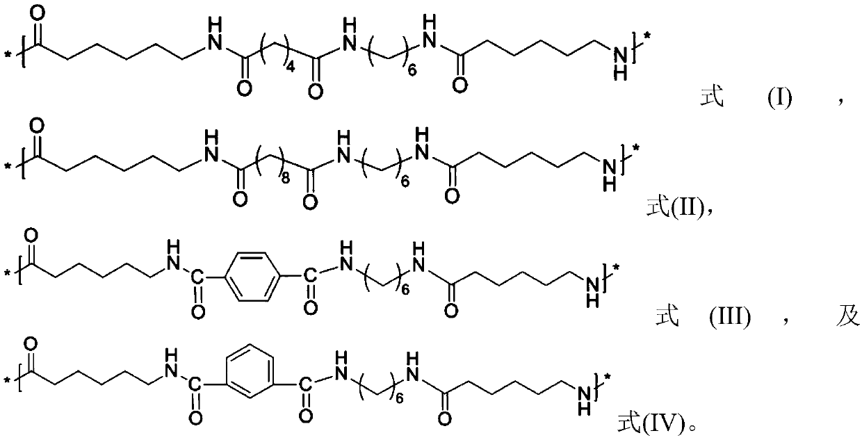 Nylon fiber and manufacturing method of nylon