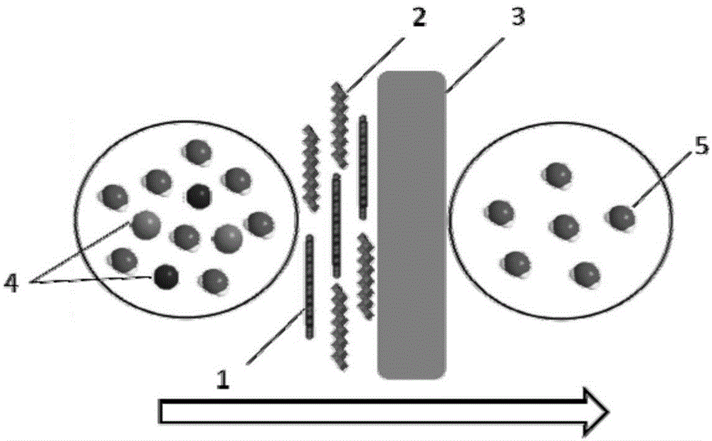 Compound desalination membrane as well as preparation method and application thereof