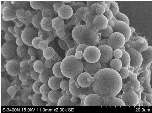 Iloperidone sustained release microsphere and preparation method thereof