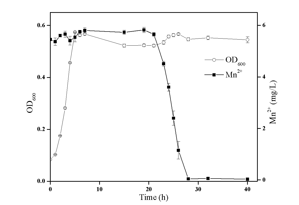 Manganese oxidizing composite microbial system and application thereof