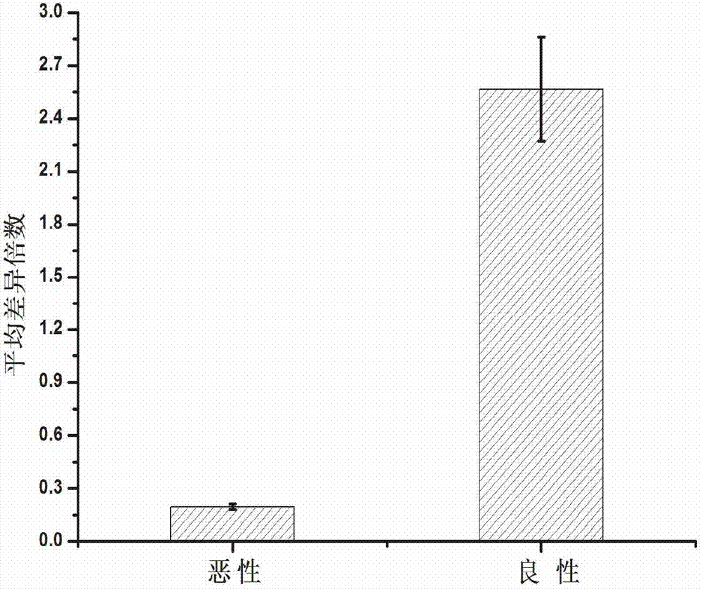 Serologic biomarker miR-106b (microRNA) for detecting ovarian tumor and application thereof