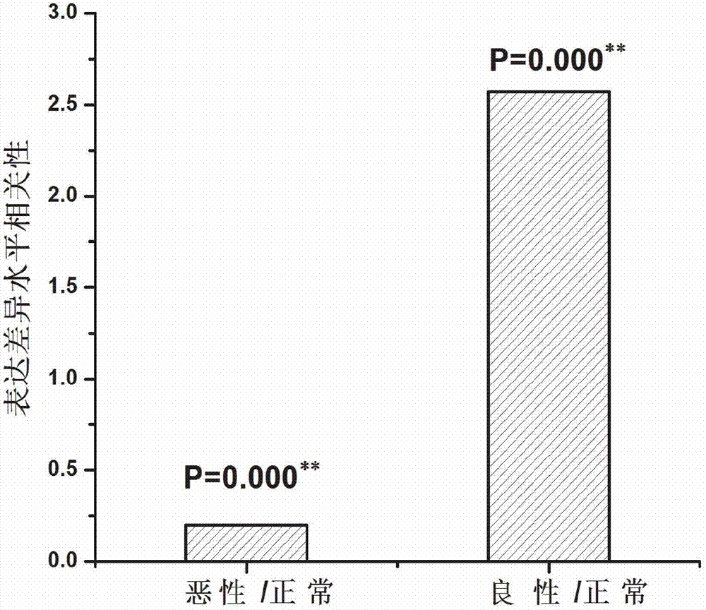 Serologic biomarker miR-106b (microRNA) for detecting ovarian tumor and application thereof