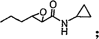 Method for synthesizing derivative of beta-amino acid and intermediate product thereof