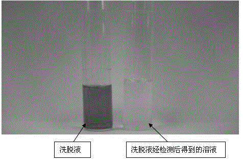 Rapid detection method for water-soluble azo dyes in foods