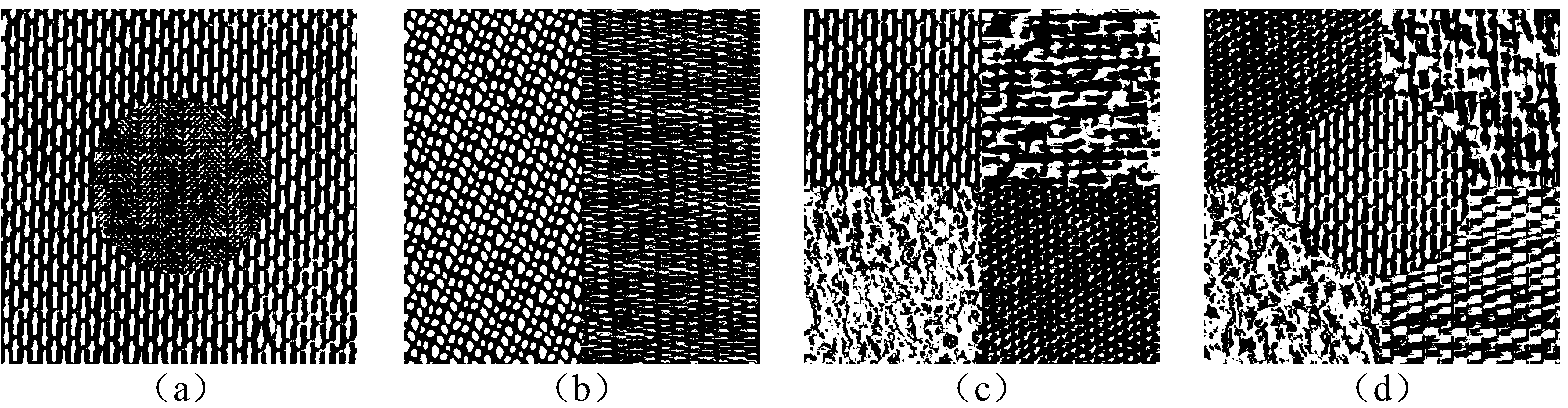 Image segmentation algorithm for local region characteristics through nonsubsampled contourlet transform