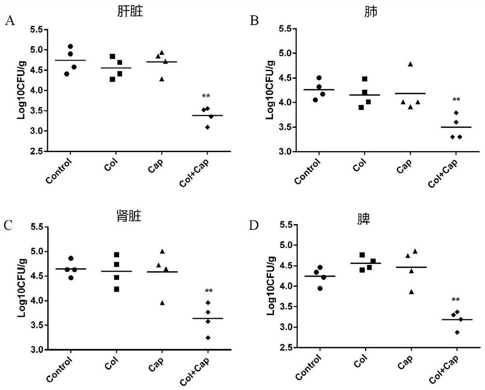 Application of capsaicin and colistin in the preparation of drugs for inhibiting Acinetobacter baumannii infection