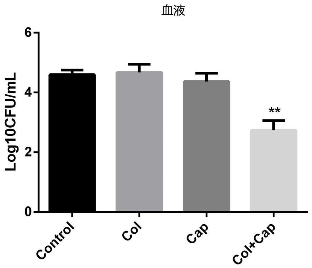 Application of capsaicin and colistin in the preparation of drugs for inhibiting Acinetobacter baumannii infection