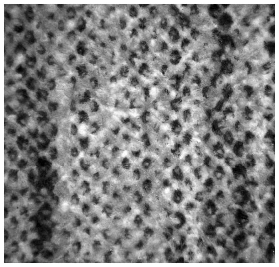 Impregnating adhesive, impregnated bond paper and preparation method of veneer of impregnated bond paper