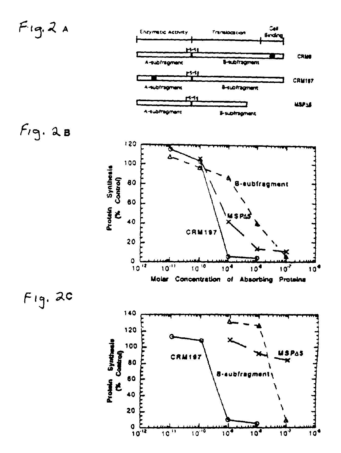 Methods of inducing immune tolerance using immunotoxins