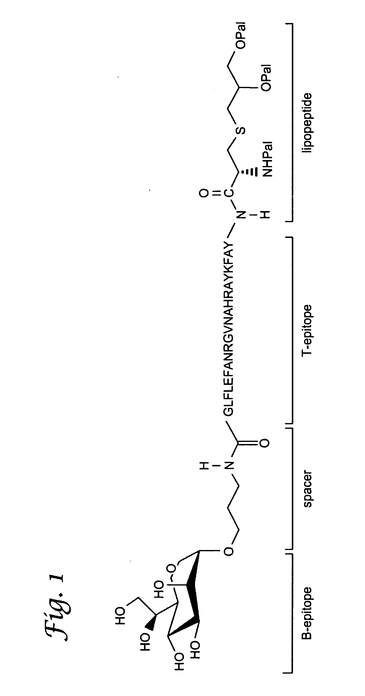 Glycopeptide and uses thereof