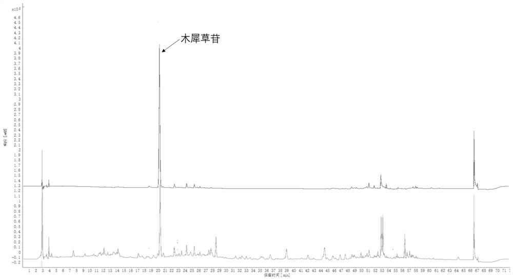 Preparation method and quality control method of physalis alkekengi extract with anti-inflammatory effect