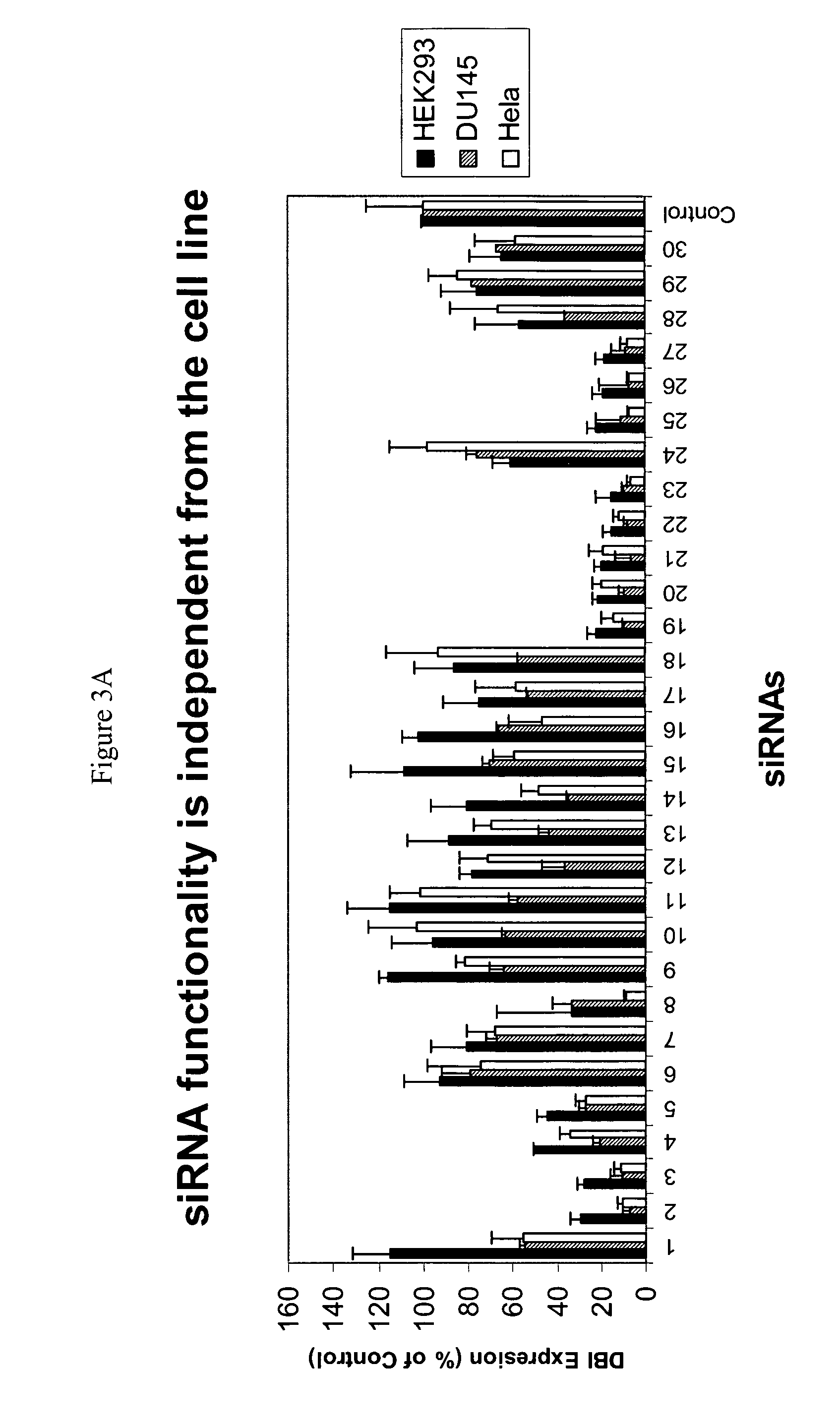 siRNA targeting inner centromere protein antigens (INCENP)