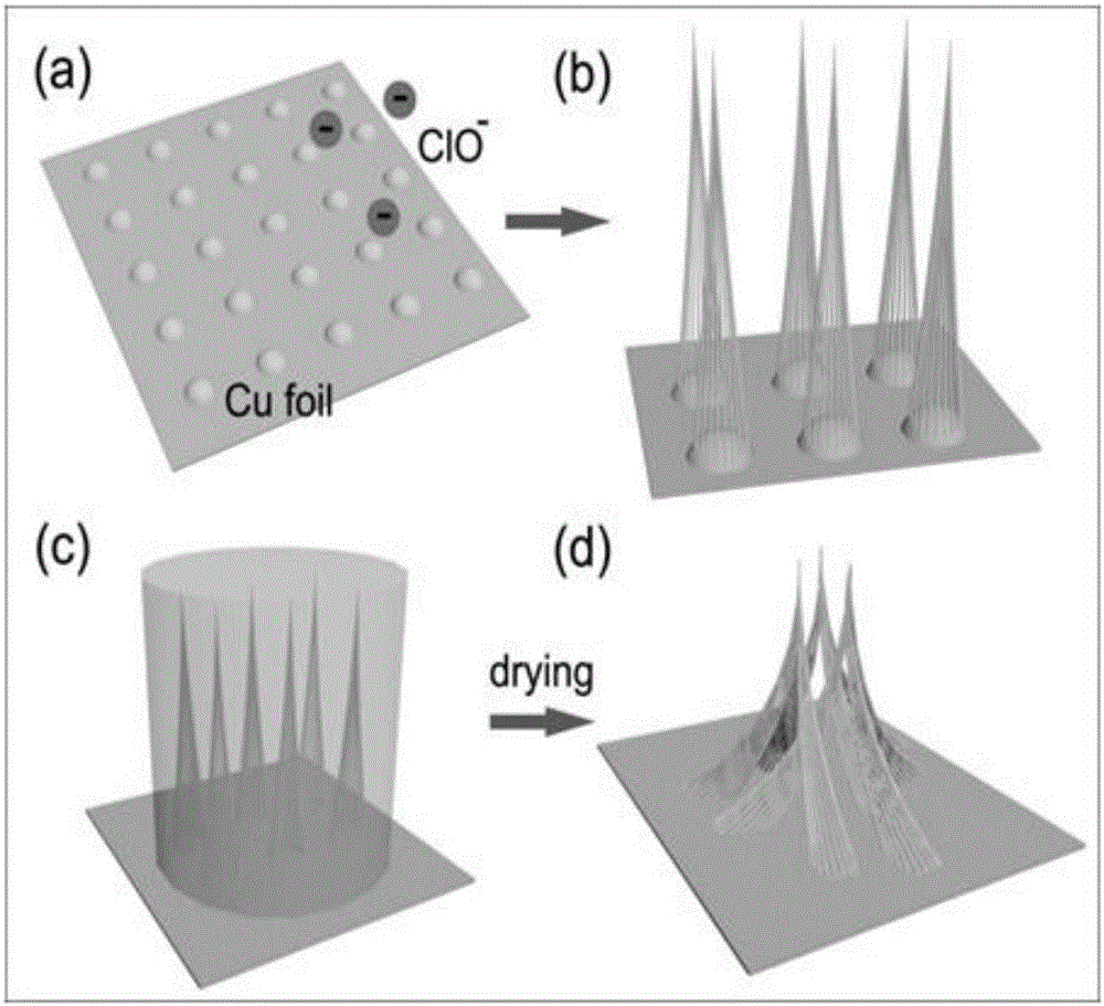 Lophobic or oleophobic micro-nano composite structure and preparation method thereof