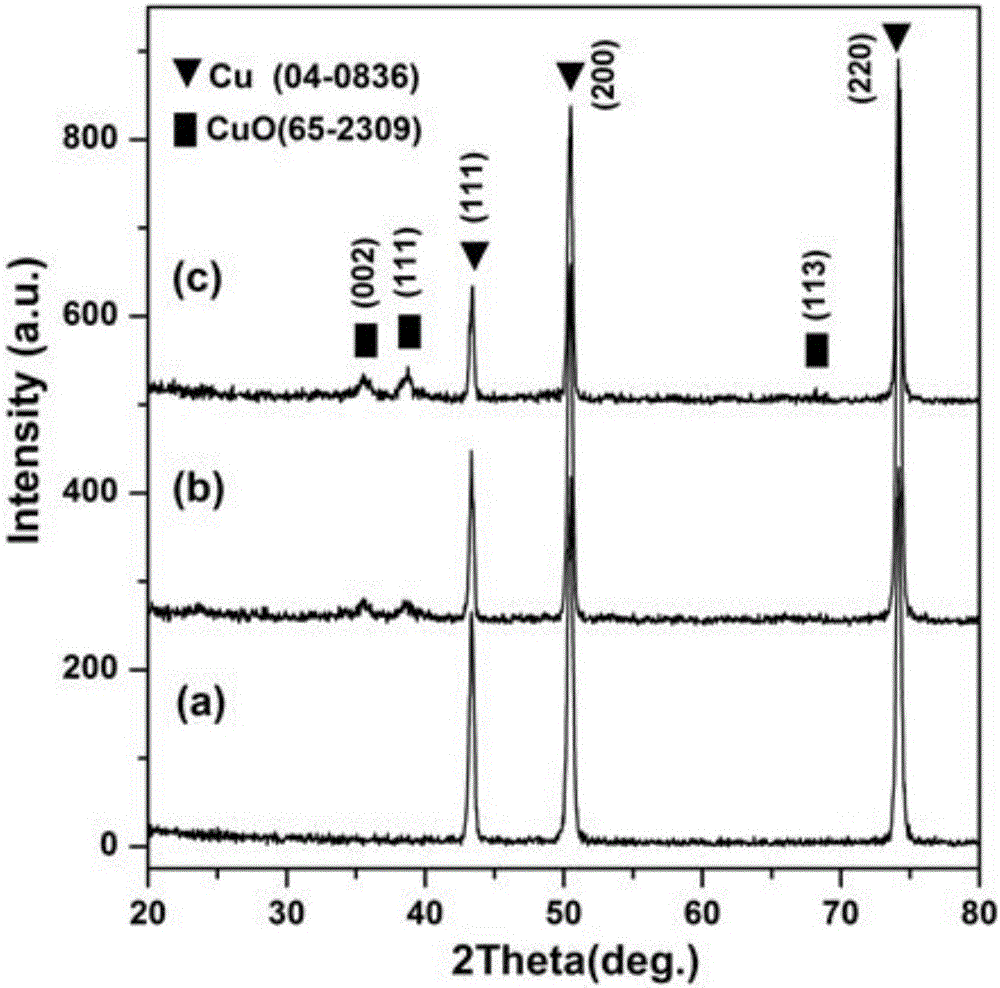 Lophobic or oleophobic micro-nano composite structure and preparation method thereof