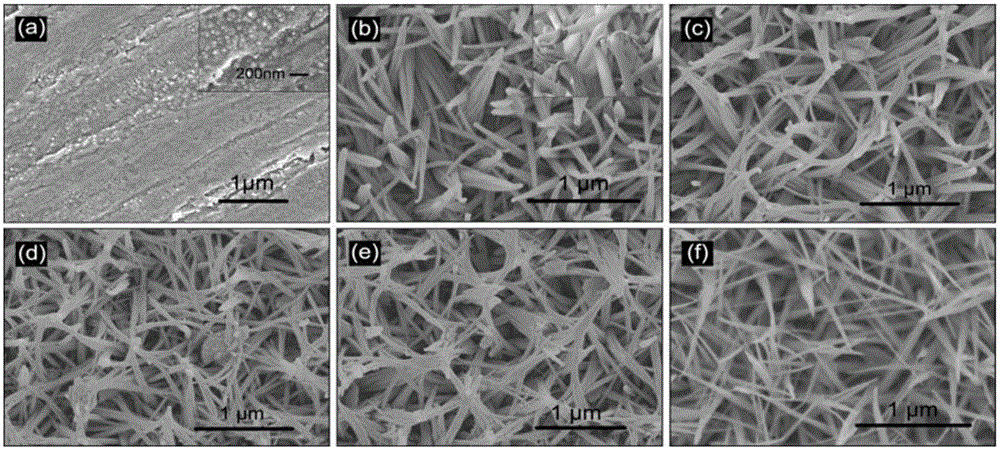 Lophobic or oleophobic micro-nano composite structure and preparation method thereof