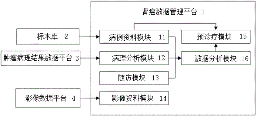 Kidney cancer case digitized information management system