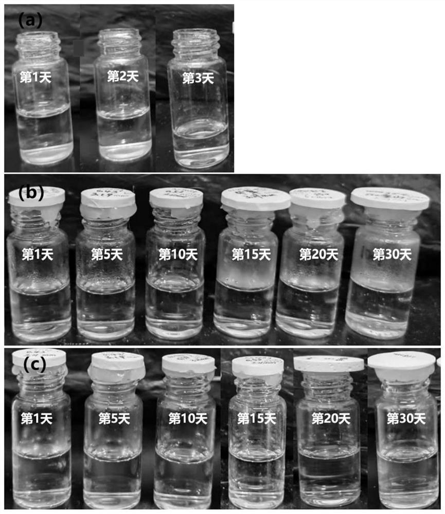 Application of hierarchical pore structure high polymer material as slow-release base material