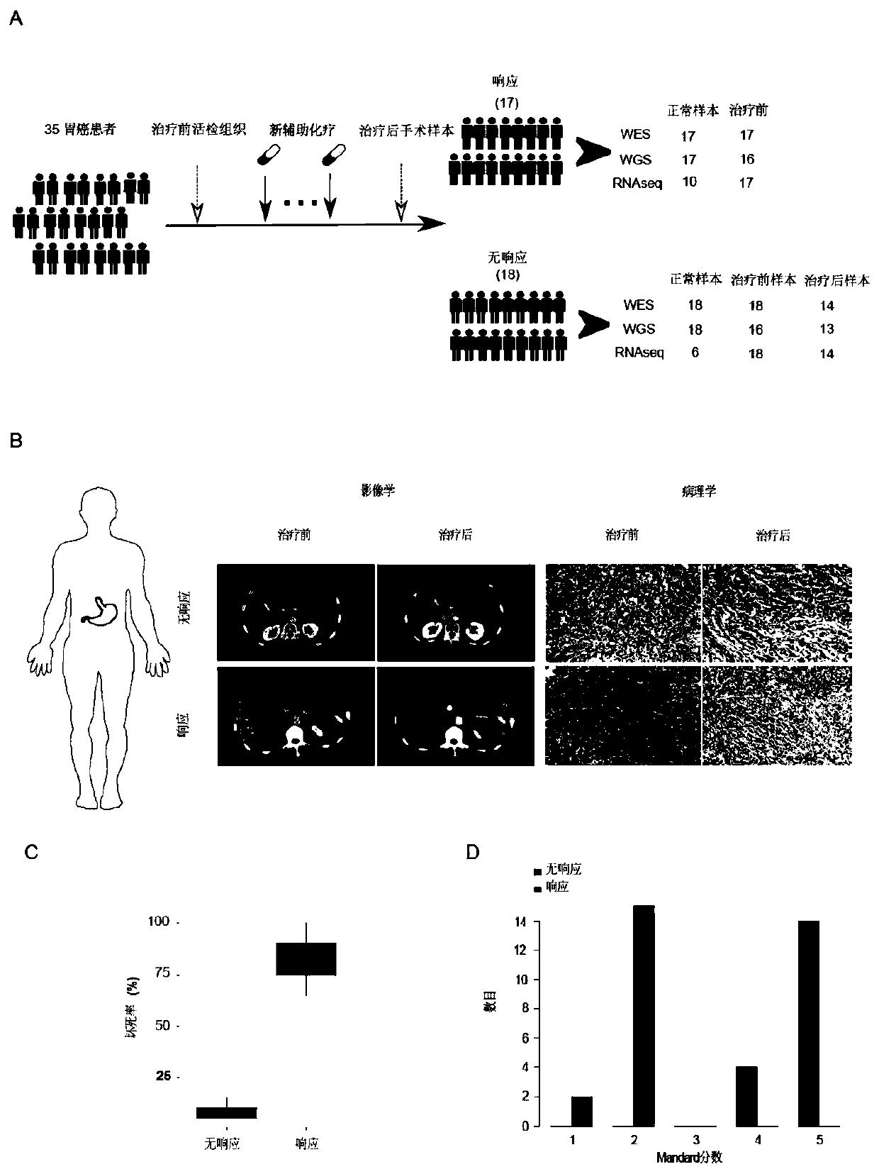 Gastric cancer marker and application thereof