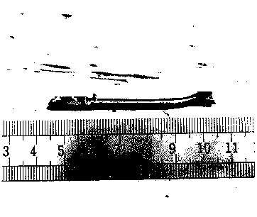 Method for preparing Si-based binary eutectic in-situ composites