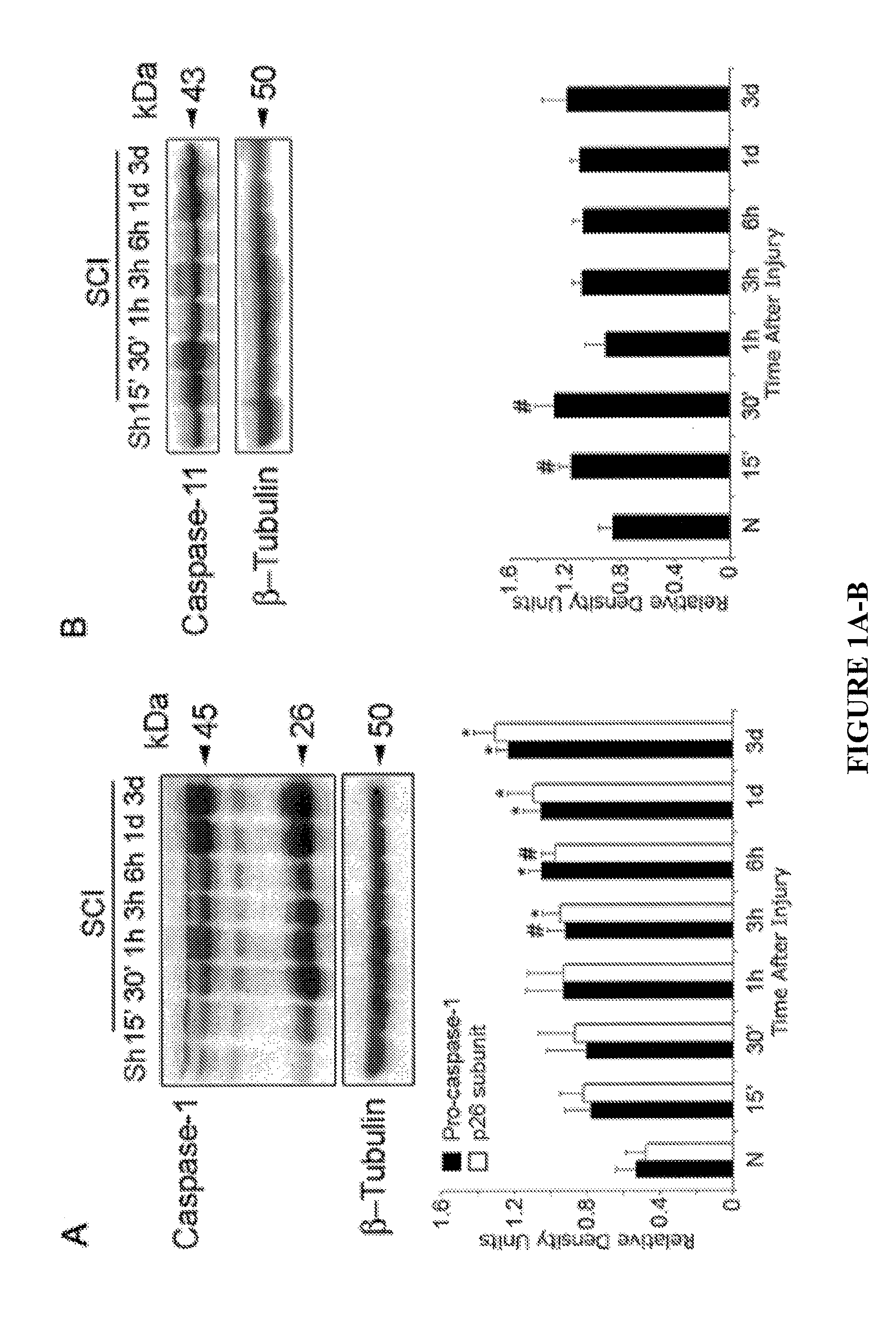 Methods of modulating inflammasome activity to treat inflammatory conditions