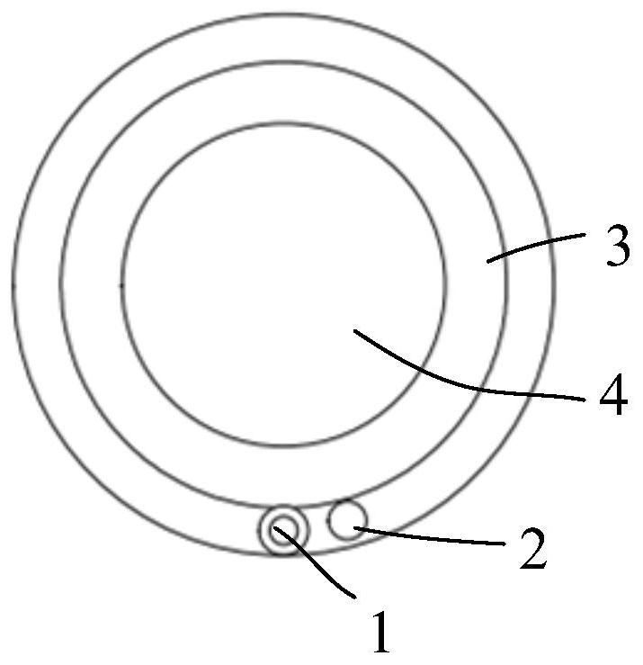 Water-injectable balloon under bronchoscope