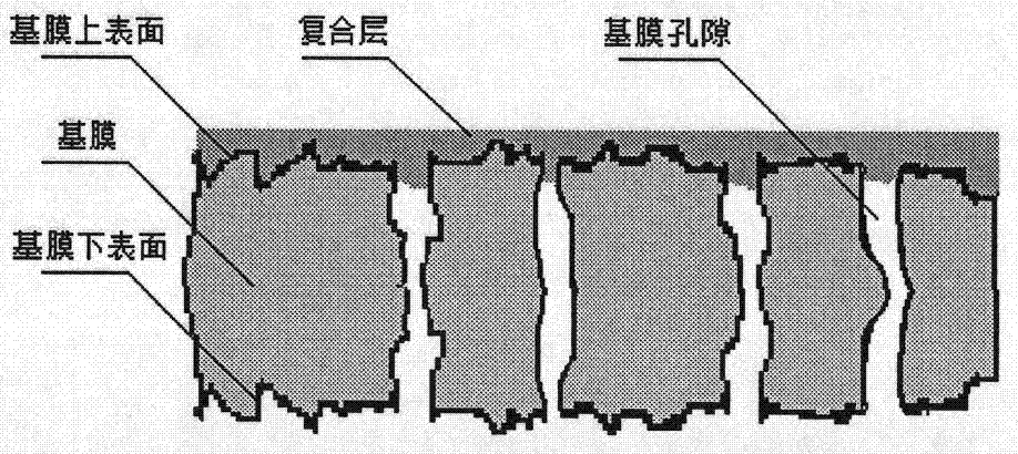 Preparation method for composite forward osmosis membrane based on interfacial polymerization