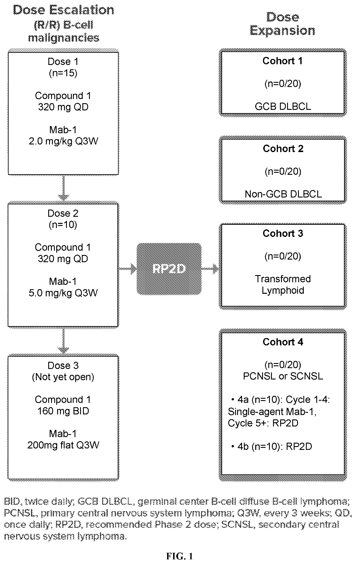 Treatment of indolent or aggressive b-cell lymphomas using a combination comprising btk inhibitors