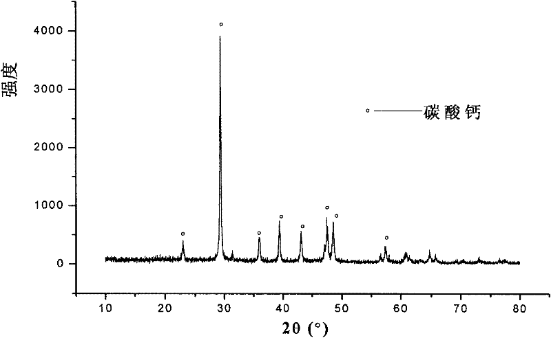 Method and device for preventing scaling of reactor and simultaneously purifying biogas