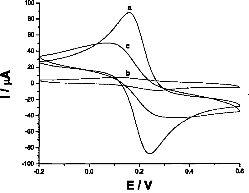 Method for determining trace terramycin by utilizing molecularly imprinted immunosensor