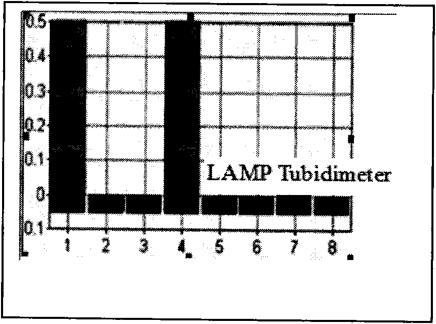 Porcine circovirus 2 LAMP detection kit and detecting method