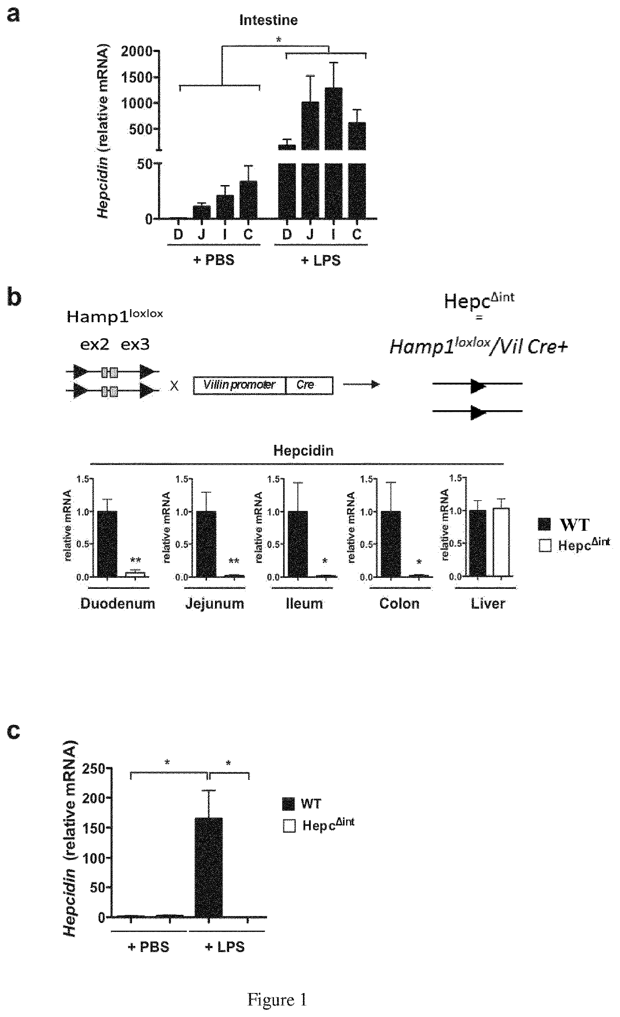 Hepcidin antagonists for use in the treatment of inflammation