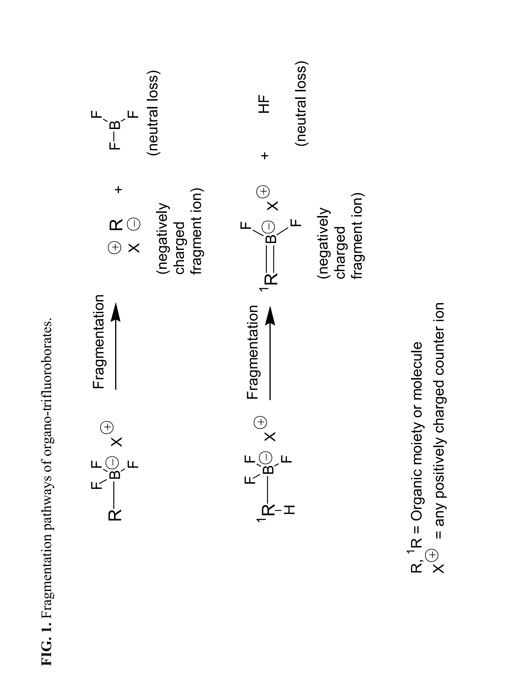 Trifluoroborate mass spectrometric tags