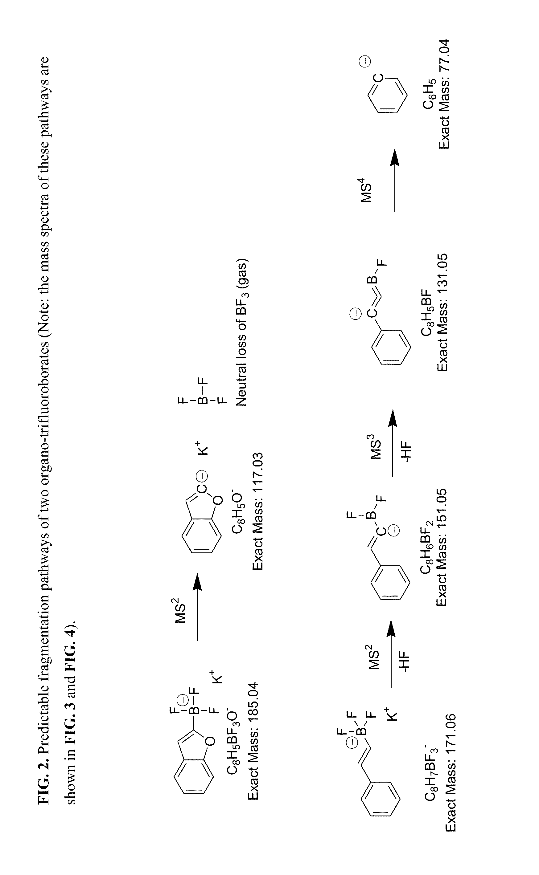 Trifluoroborate mass spectrometric tags