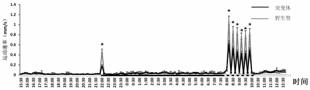 A method for promoting the improvement of fish growth traits